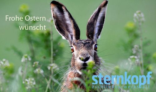 Ostern 2026